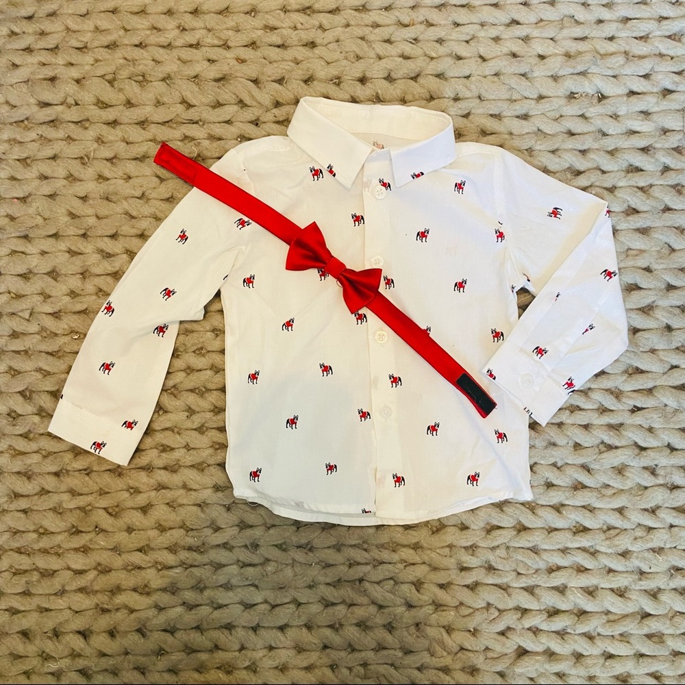 French Bulldog Sz 18M-by Wonder Nation wht button down L.S. shirt w/red bow tie